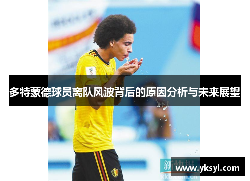 多特蒙德球员离队风波背后的原因分析与未来展望