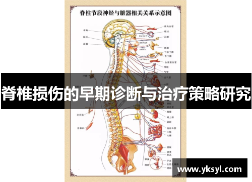 脊椎损伤的早期诊断与治疗策略研究